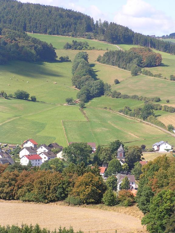 Apartment Preising Willingen  Exterior photo